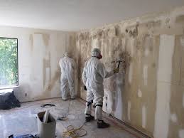 Best Post-Construction Mold Inspection in Fort Hood, TX